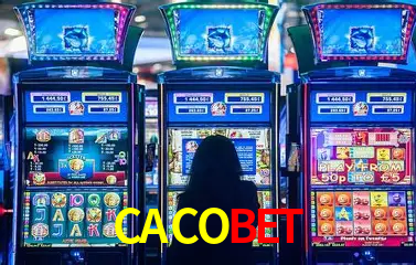 A Experiência Imersiva dos Cassinos Ao Vivo no CACOBET