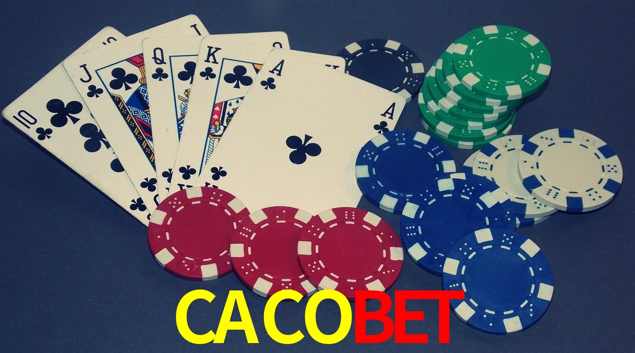 Tennis Betting CACOBET